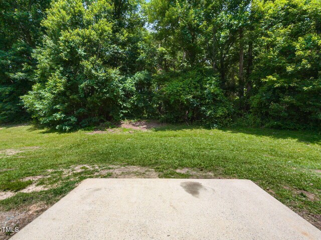 381 Gray Ghost Ln, Benson, NC 27504 - view of green lawn with a patio area