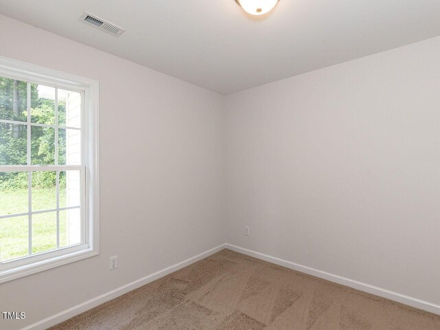 381 Gray Ghost Ln, Benson, NC 27504 - unfurnished room featuring carpet and healthy amount of natural light