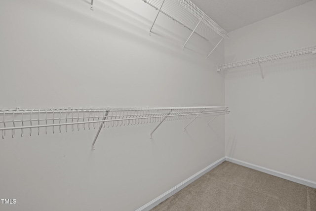 103 Burham Ct, Apex, NC 27502 - spacious closet with carpet floors