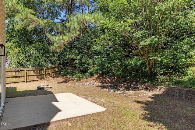 103 Burham Ct, Apex, NC 27502 - view of yard with a patio area