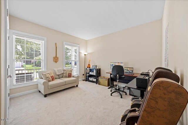 2419 Rogerson St, Raleigh, NC 27614 - photo 30