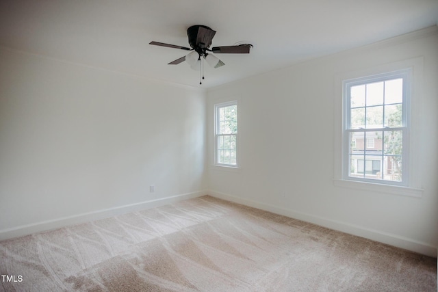1702 Chamberlain Dr NW, Wilson, NC 27896 - unfurnished room featuring carpet, ceiling fan, and crown molding