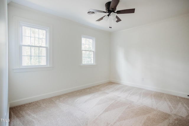 1702 Chamberlain Dr NW, Wilson, NC 27896 - unfurnished room with carpet, crown molding, and ceiling fan