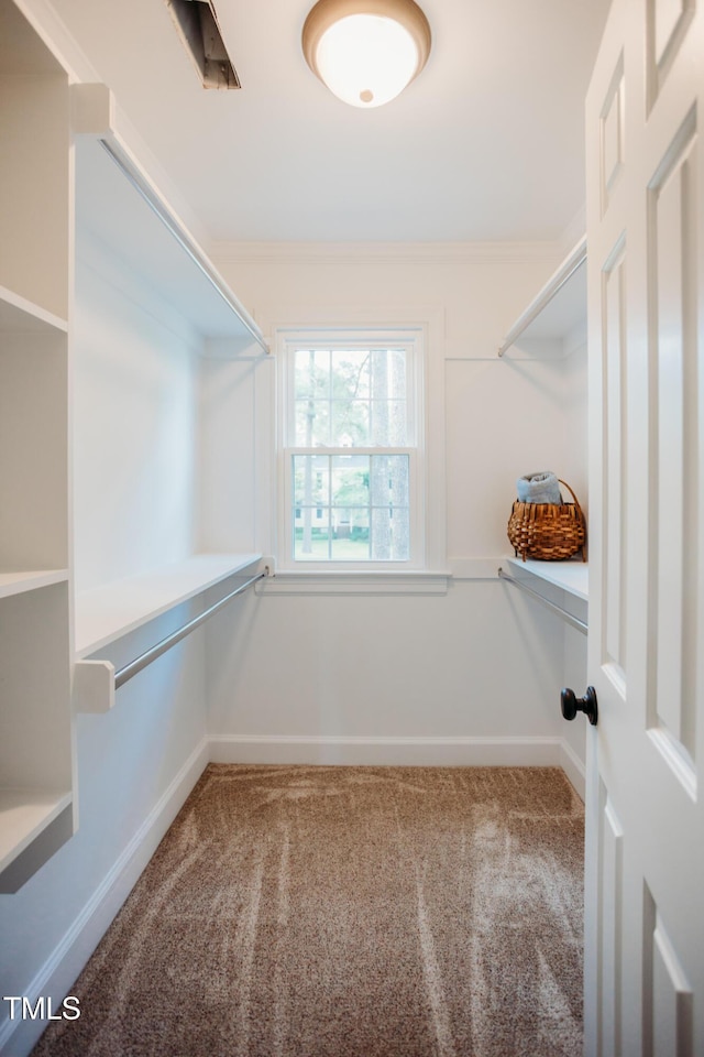 1702 Chamberlain Dr NW, Wilson, NC 27896 - walk in closet featuring carpet floors