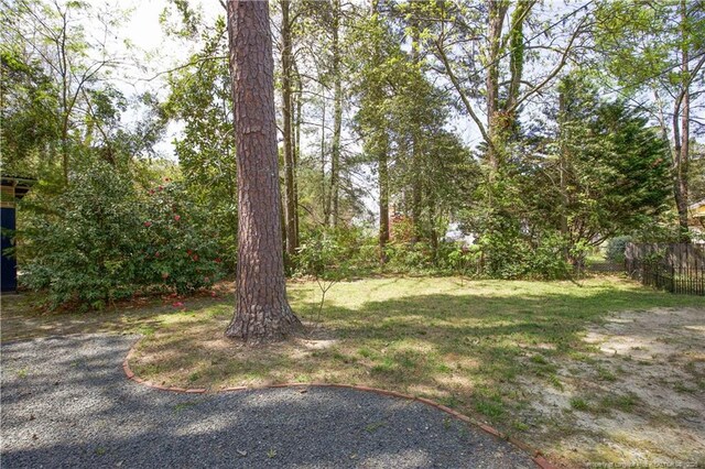 264 E Indiana Ave, Southern Pines, NC 28387 - photo 30