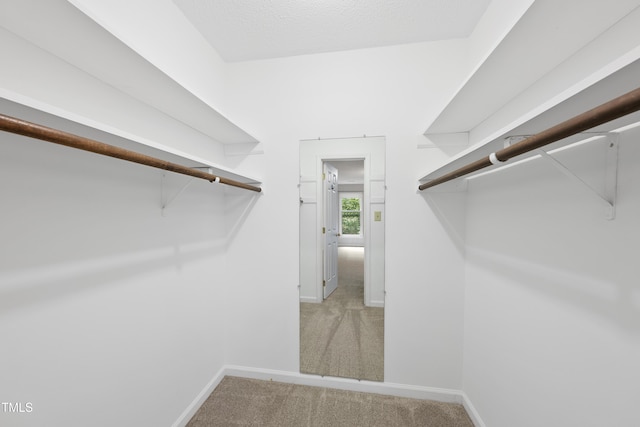 3517 Eden Croft Dr, Raleigh, NC 27612 - spacious closet featuring carpet