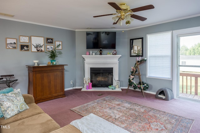 764 Olivers Grove Rd, Four Oaks, NC 27524 - living room featuring carpet flooring, crown molding, ceiling fan, and a glass covered fireplace