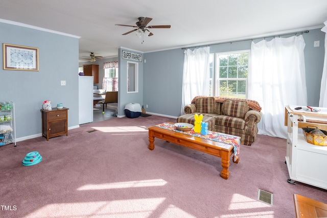 764 Olivers Grove Rd, Four Oaks, NC 27524 - living area featuring crown molding, a ceiling fan, and carpet flooring