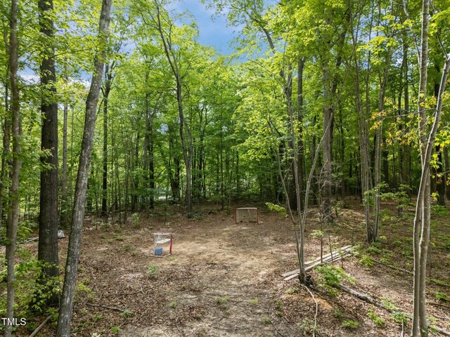 5402 Shealtiel Way, Rougemont, NC 27572 - photo 24
