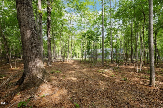 5402 Shealtiel Way, Rougemont, NC 27572 - photo 25