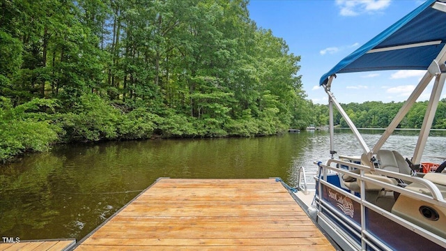 58 Lakefront Rd, Prospect Hill, NC 27314 - photo 36