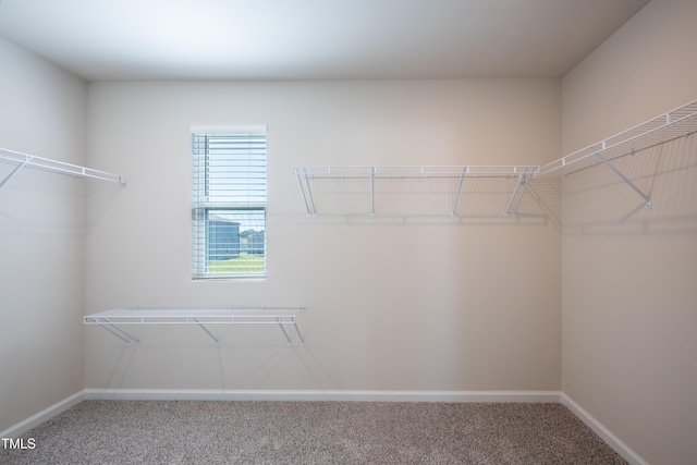 217 Windy Knoll Dr, Graham, NC 27253 - photo 19
