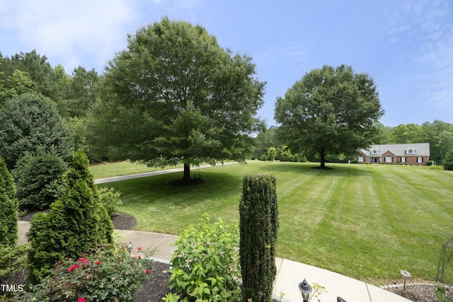 4217 Grahamstone Rd, Raleigh, NC 27610 - view of green lawn