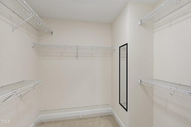 1304 Trailing Rose Ct, Wake Forest, NC 27587 - spacious closet featuring carpet flooring