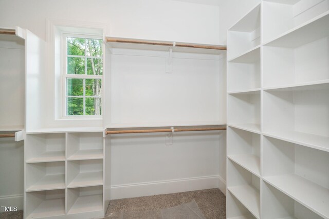 905 Deboy St, Raleigh, NC 27606 - spacious closet with carpet floors