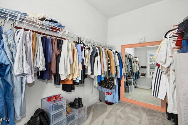 513 Basin Hill Dr, Wake Forest, NC 27587 - spacious closet featuring carpet