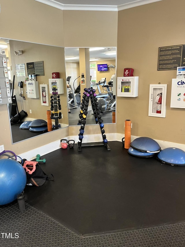 214 Ashdown Forest Ln, Cary, NC 27519 - exercise room with ornamental molding