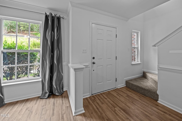 9908 Jerome Ct, Raleigh, NC 27617 - entryway featuring ornamental molding, healthy amount of natural light, and wood finished floors