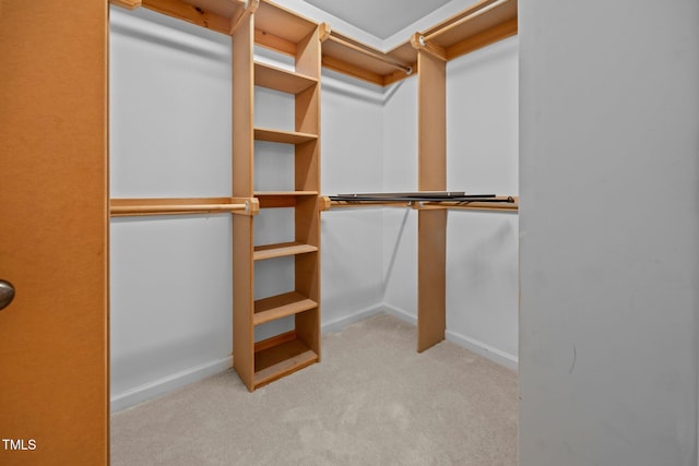 9908 Jerome Ct, Raleigh, NC 27617 - spacious closet featuring carpet