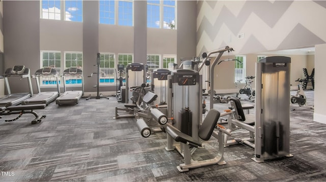 2539 Kasota Ln, Raleigh, NC 27610 - exercise room with a towering ceiling, carpet, healthy amount of natural light, and french doors