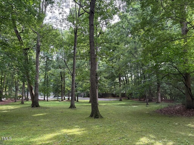 1300 Seabrook Ave, Cary, NC 27511 - view of grassy yard