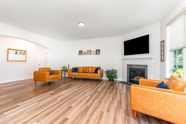 124 Airlie Place Ln, Willow Springs, NC 27592 - living area featuring light wood-style flooring, a fireplace with flush hearth, and arched walkways
