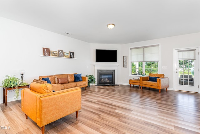 124 Airlie Place Ln, Willow Springs, NC 27592 - living area featuring light wood finished floors and a fireplace with flush hearth