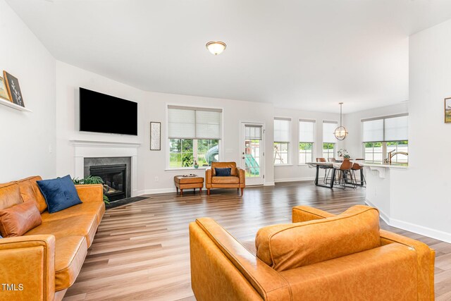124 Airlie Place Ln, Willow Springs, NC 27592 - living area featuring light wood-style flooring and a fireplace with flush hearth