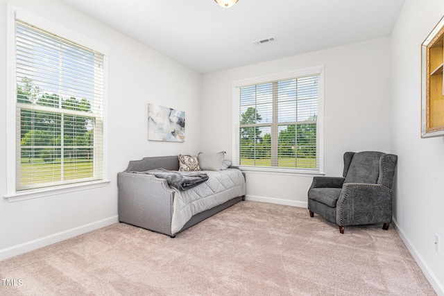 124 Airlie Place Ln, Willow Springs, NC 27592 - carpeted bedroom with baseboards