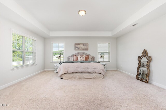 124 Airlie Place Ln, Willow Springs, NC 27592 - bedroom featuring a raised ceiling and light carpet