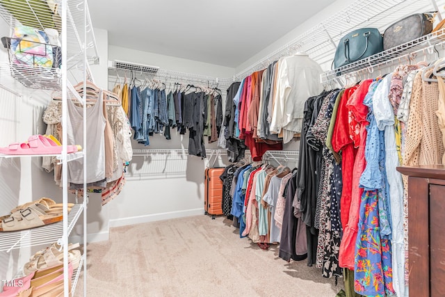 124 Airlie Place Ln, Willow Springs, NC 27592 - spacious closet with carpet