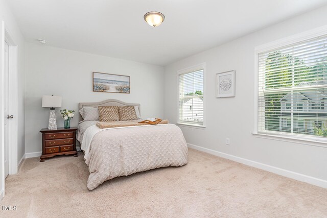 124 Airlie Place Ln, Willow Springs, NC 27592 - bedroom with light colored carpet and baseboards
