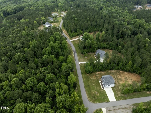190 Whistlers Cv, Louisburg, NC 27549 - photo 44