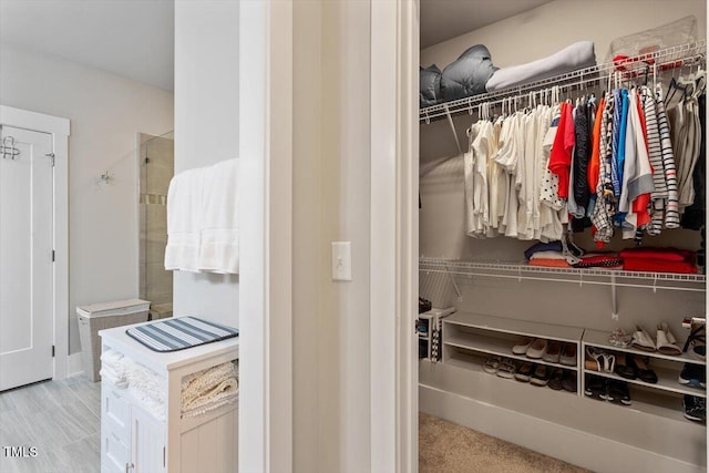 10310 Sablewood Dr Unit 115, Raleigh, NC 27617 - view of spacious closet
