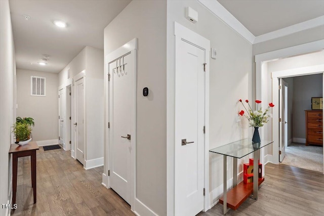 10310 Sablewood Dr Unit 115, Raleigh, NC 27617 - corridor with wood finished floors