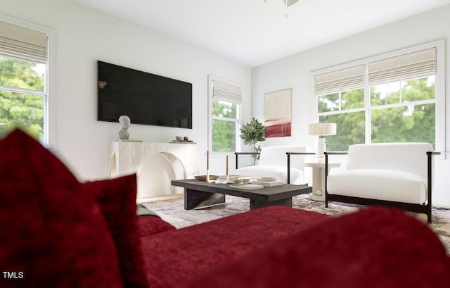 1216 Hardin Hill Ln, Knightdale, NC 27545 - view of living area