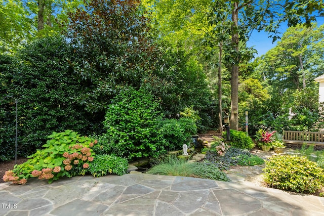 101 Tropez Ln, Cary, NC 27511 - photo 73
