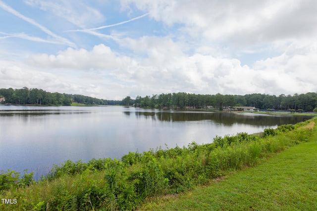 101 Tropez Ln, Cary, NC 27511 - photo 79