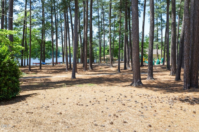 101 Tropez Ln, Cary, NC 27511 - photo 81