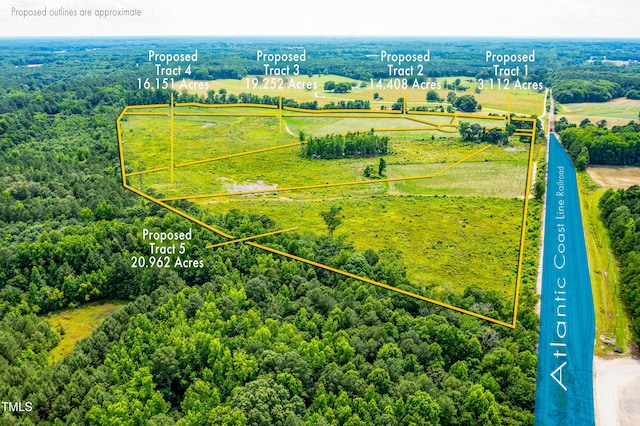 LOT4 Corbett Rd, Nashville, NC 27856 - photo 5