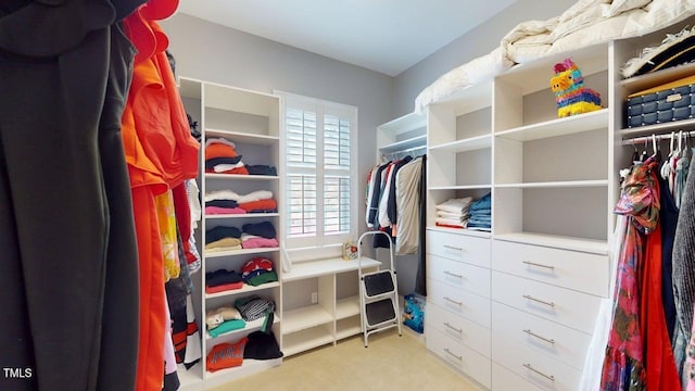 604 Hillcrest Pl, Goldsboro, NC 27534 - walk in closet with carpet