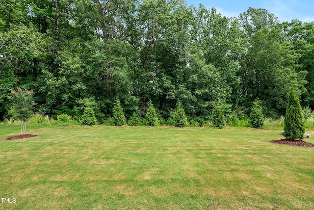 7117 Crested Iris Pl, Durham, NC 27703 - view of grassy yard