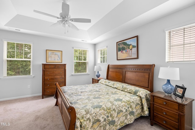 7117 Crested Iris Pl, Durham, NC 27703 - bedroom featuring a raised ceiling, light colored carpet, and multiple windows