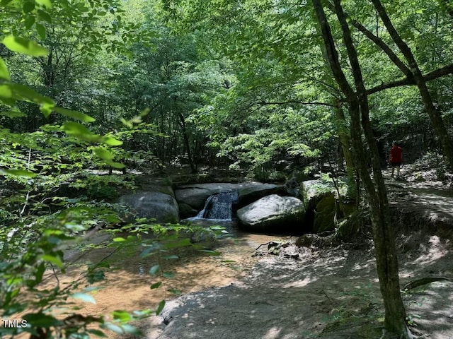 1325 Mackinaw Dr, Wake Forest, NC 27587 - view of wooded area