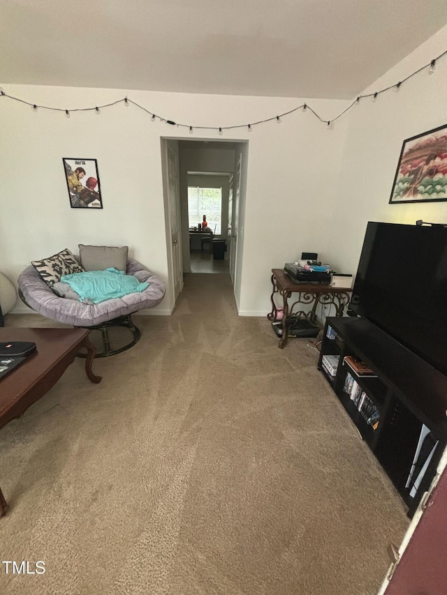 71 Red Ln, Raleigh, NC 27606 - sitting room with carpet floors