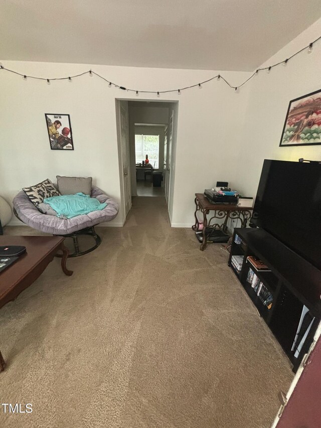 71 Red Ln, Raleigh, NC 27606 - sitting room with carpet floors