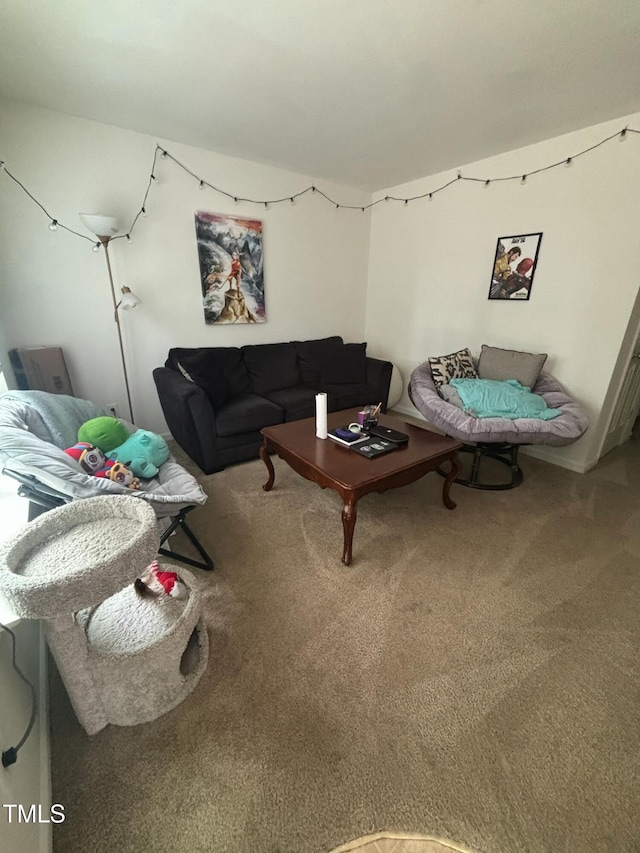 71 Red Ln, Raleigh, NC 27606 - living room with carpet