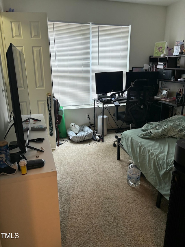 71 Red Ln, Raleigh, NC 27606 - carpeted bedroom featuring a desk