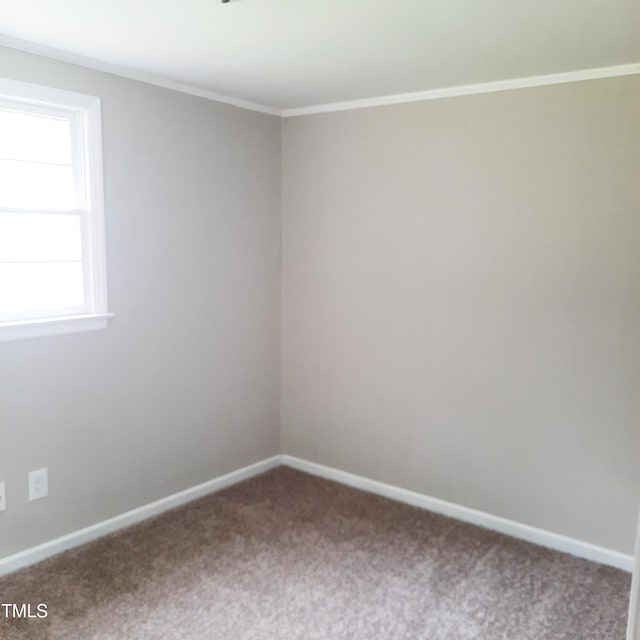 4112 Forrest Ave, Efland, NC 27243 - empty room featuring carpet floors and crown molding