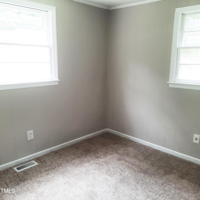 4112 Forrest Ave, Efland, NC 27243 - spare room featuring carpet flooring and ornamental molding